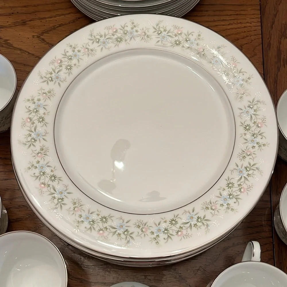 Noritake savannah china